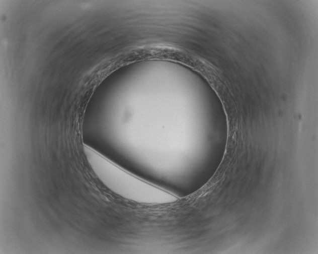 X0000082711014200701260949