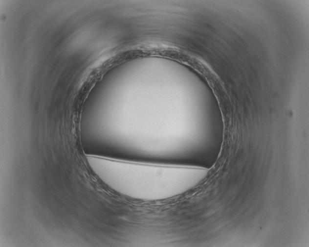 X0000082711016200701260949
