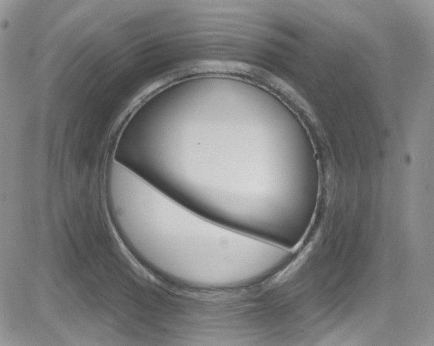 X0000082711033200701260950
