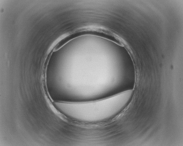 X0000082711042200701260950
