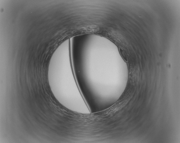 X0000082711058200701260949