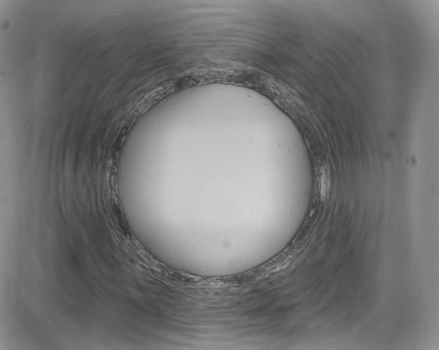 X0000082711059200701260949