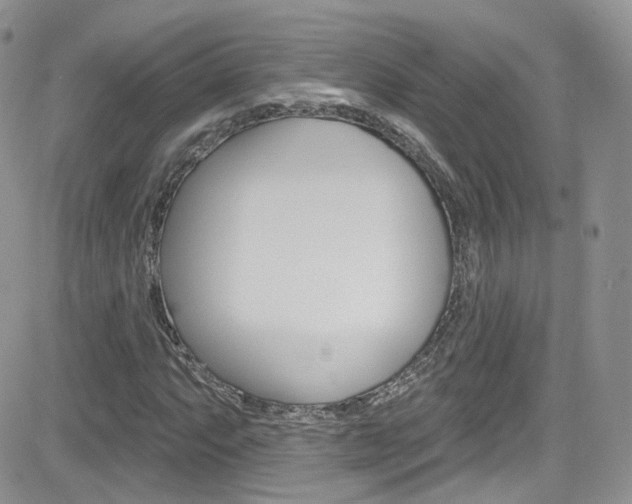 X0000082711063200701260949