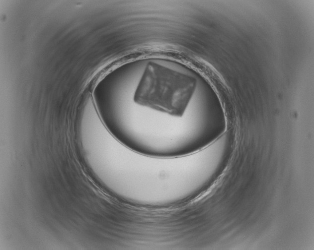 X0000082711065200701260949