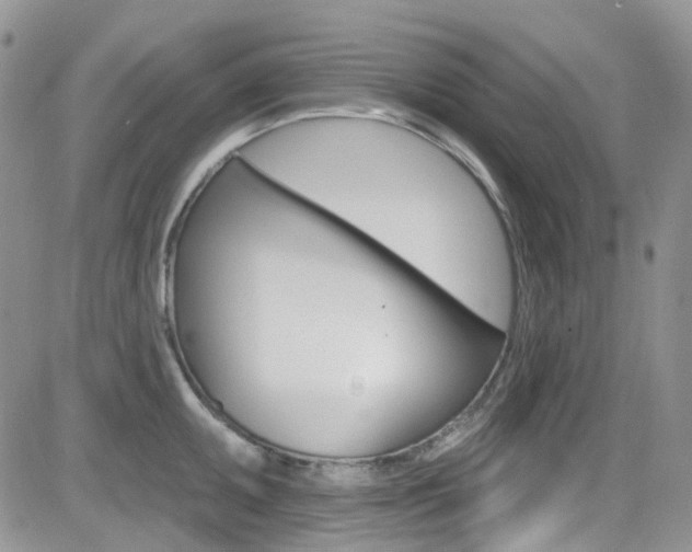 X0000082711095200701260949