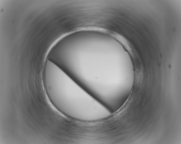 X0000082711100200701260949