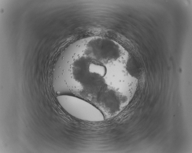 X0000082711105200701260948