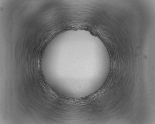 X0000082711106200701260948