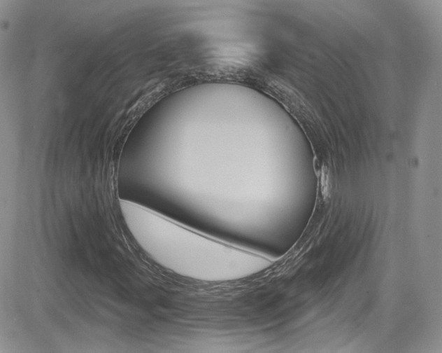 X0000082711107200701260948
