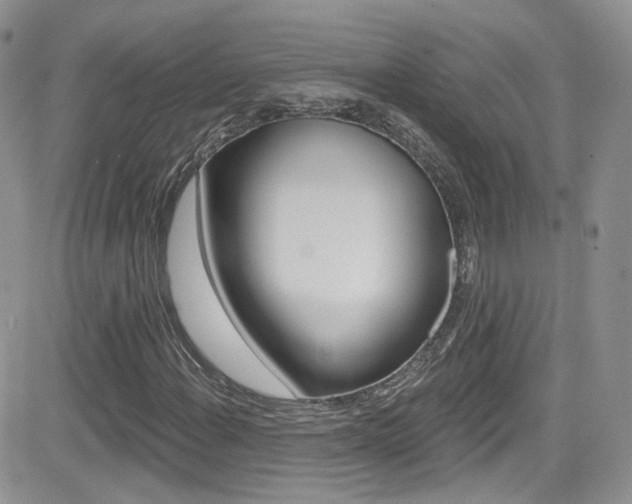 X0000082711108200701260948