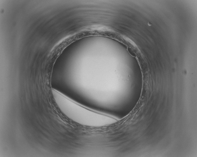 X0000082711112200701260948