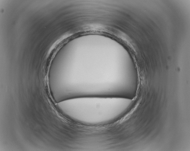 X0000082711117200701260948