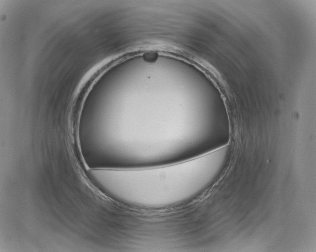 X0000082711120200701260948