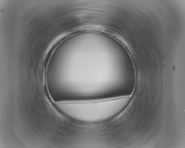 X0000082711123200701260948