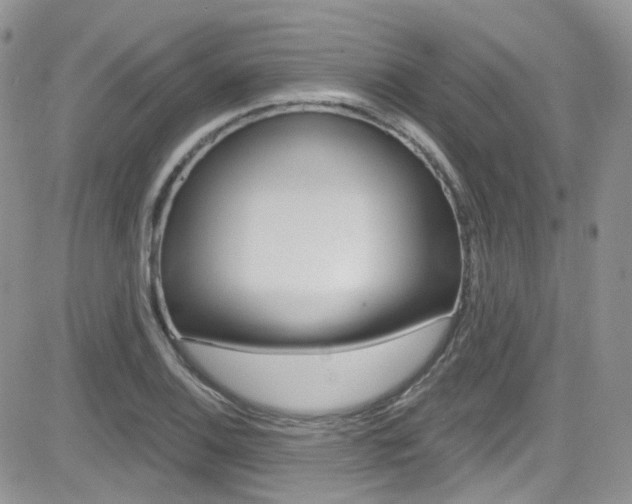 X0000082711124200701260948