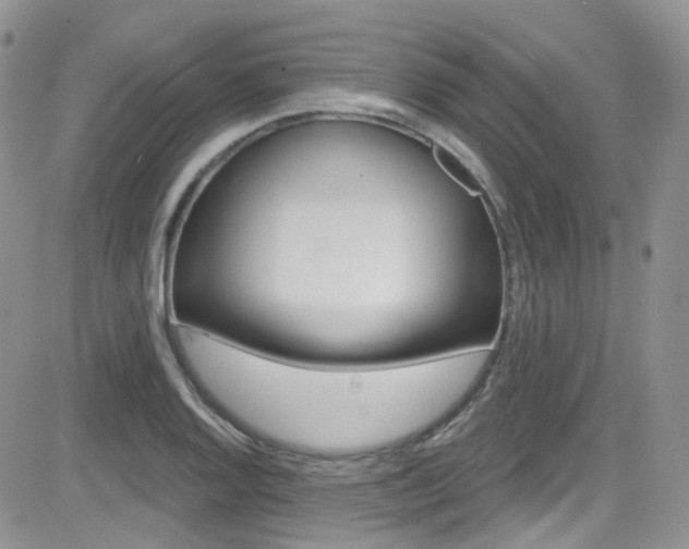 X0000082711128200701260948