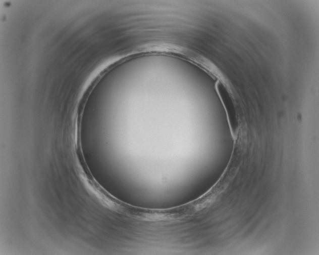 X0000082711132200701260948
