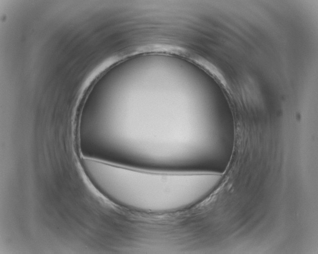 X0000082711135200701260948