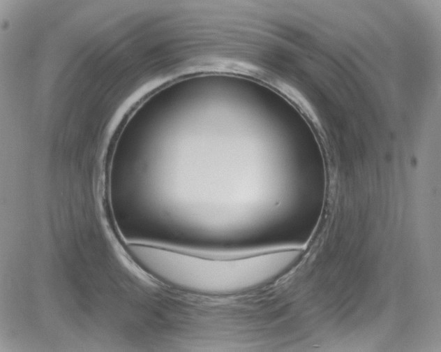 X0000082711136200701260948