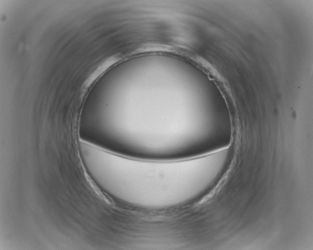 X0000082711137200701260948