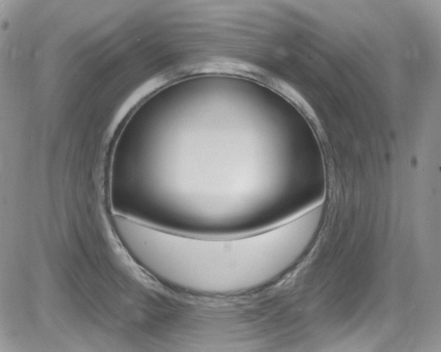 X0000082711138200701260948