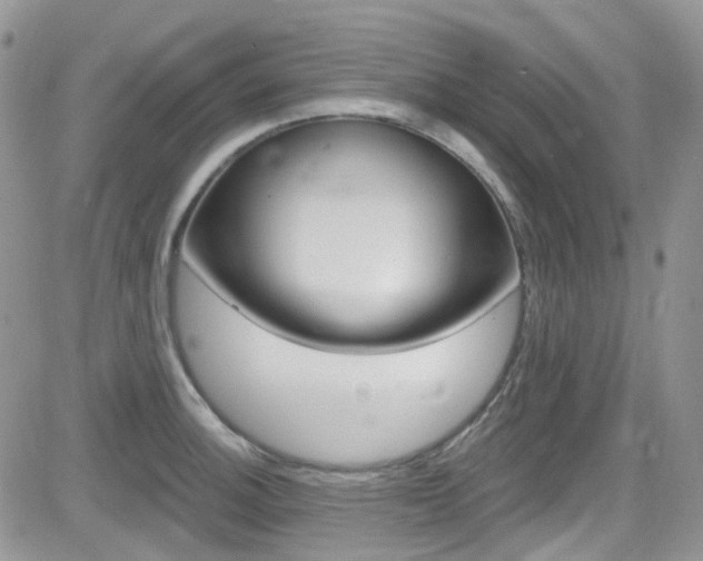 X0000082711140200701260948