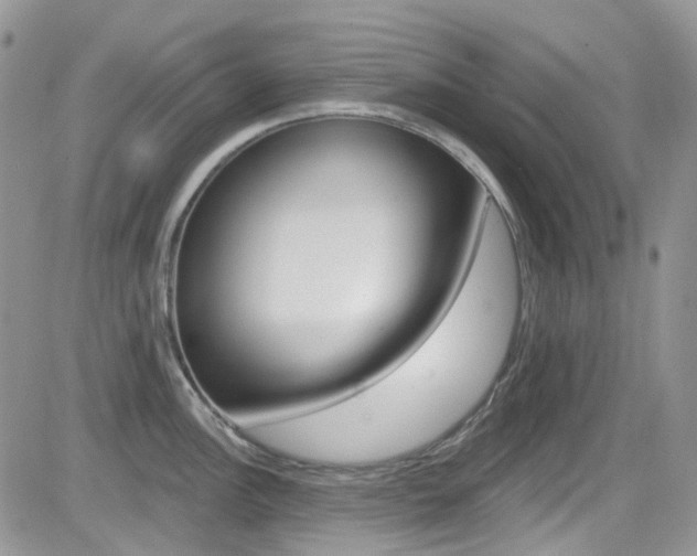 X0000082711148200701260948