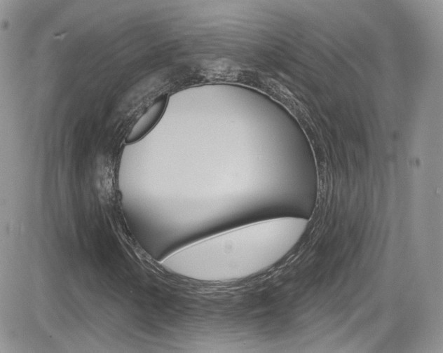 X0000082711154200701260948