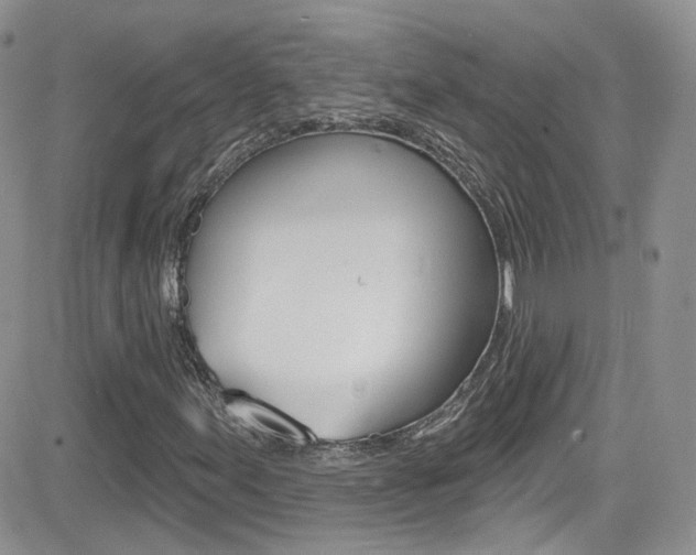 X0000082711155200701260948