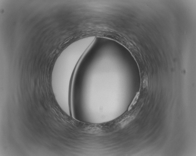 X0000082711156200701260948