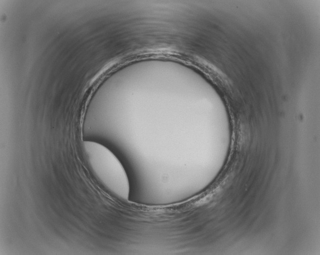 X0000082711162200701260948