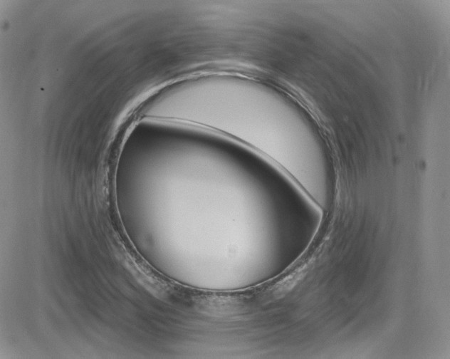 X0000082711164200701260948