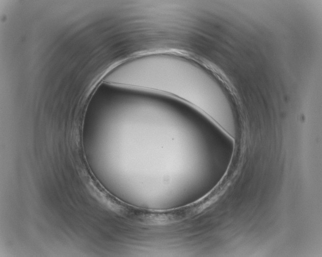 X0000082711177200701260947