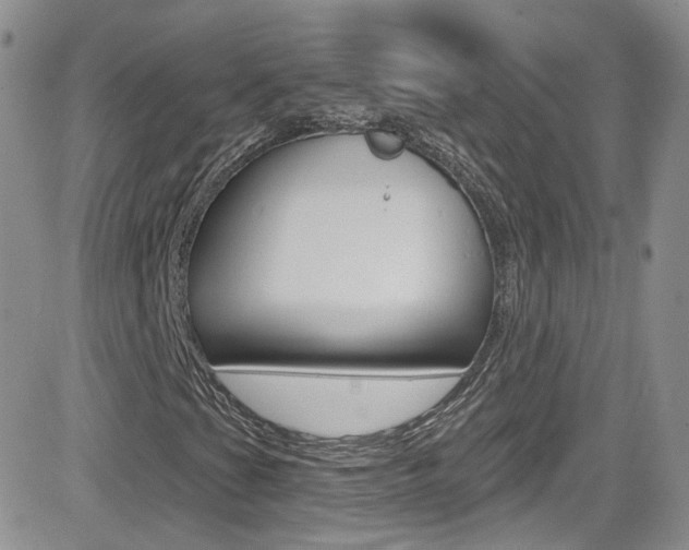 X0000082711201200701260946