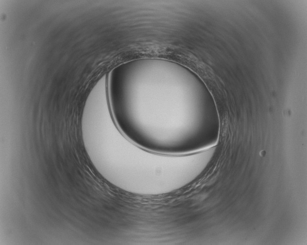 X0000082711202200701260946