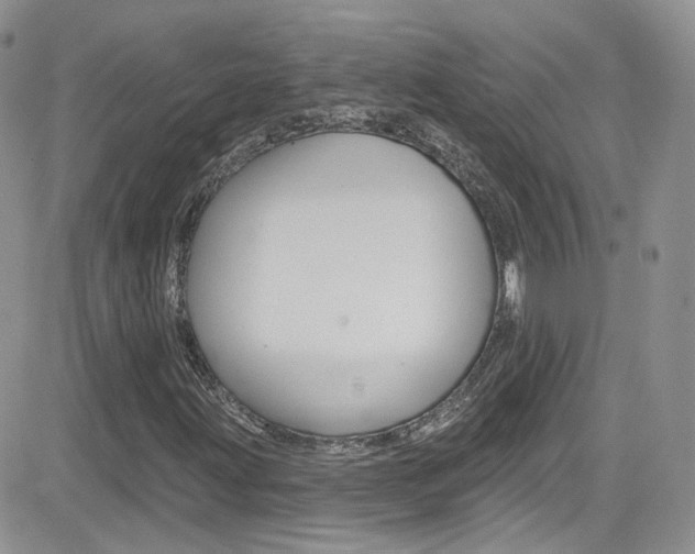 X0000082711203200701260946