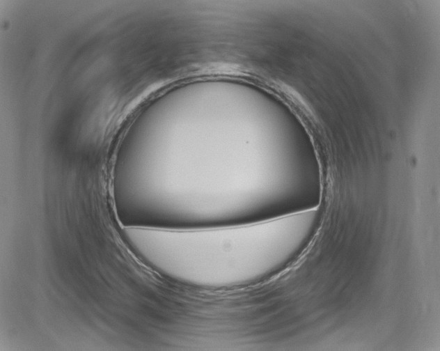 X0000082711212200701260946