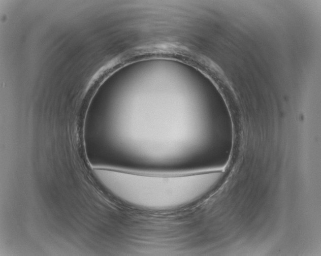 X0000082711218200701260946