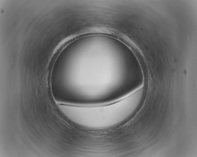 X0000082711222200701260947