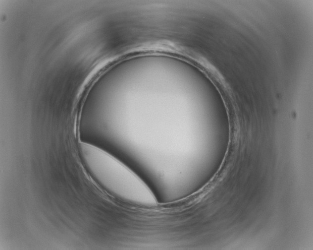 X0000082711224200701260947