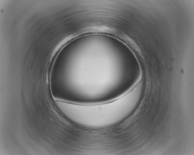X0000082711226200701260947