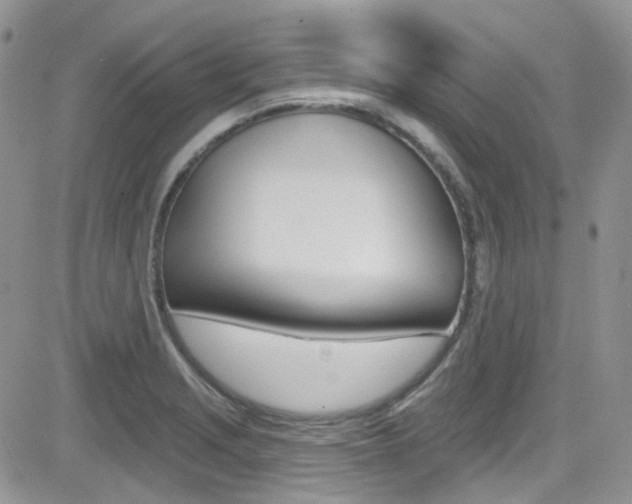 X0000082711229200701260947