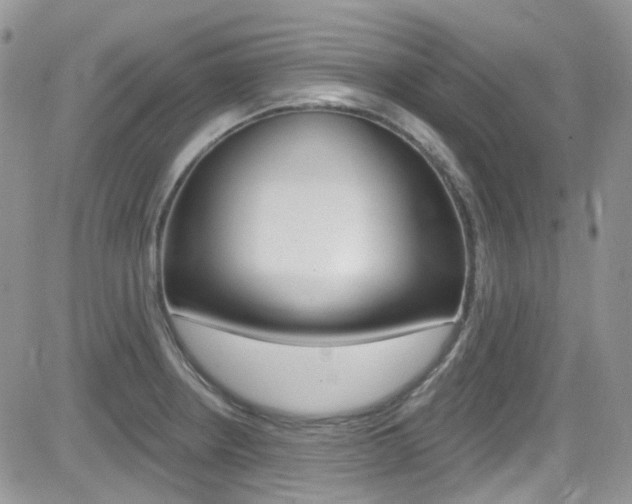 X0000082711234200701260947