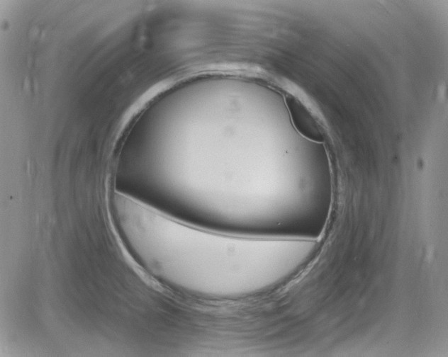 X0000082711237200701260947