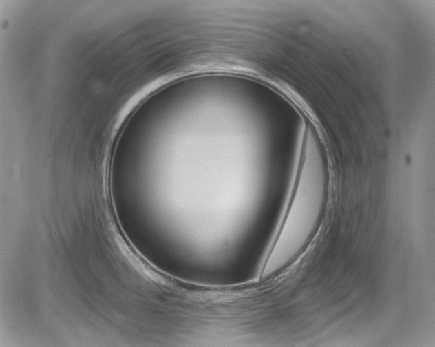 X0000082711246200701260947