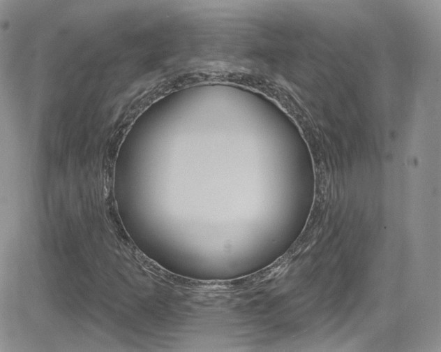 X0000082711253200701260946