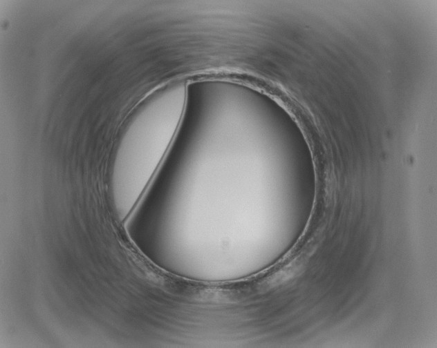 X0000082711265200701260946