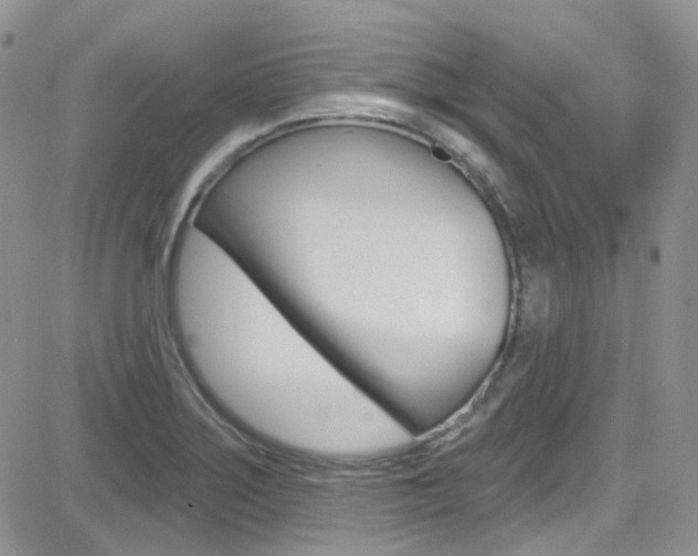 X0000082711275200701260946