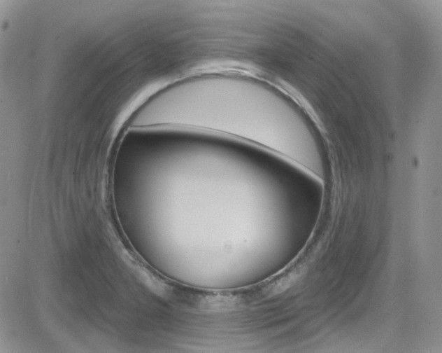 X0000082711277200701260946