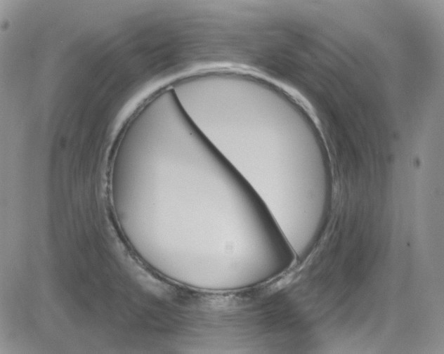 X0000082711279200701260946